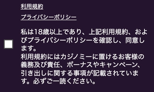 ステップ4:利用規約の確認