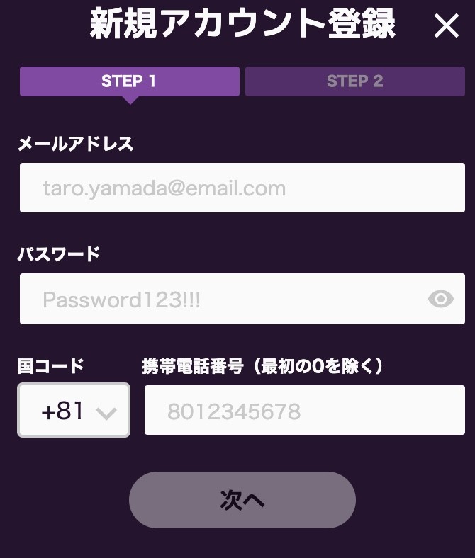 ステップ2:メールアドレス・パスワード・電話番号の入力