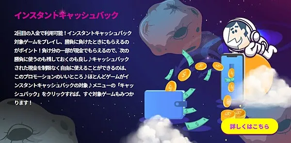 ボーナス概要