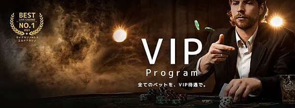 VIPシステム