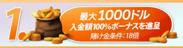 ボーナス概要