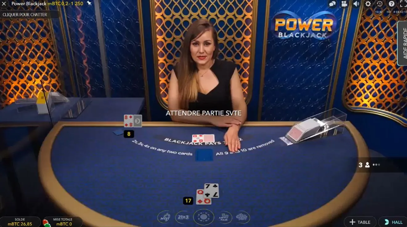 パワーブラックジャック(Power Blackjack)