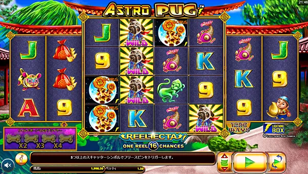 アストロパグ(Astro Pug)