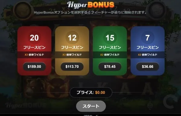 ブレイジングブルのHyper Bonus購入画面(4オプション)