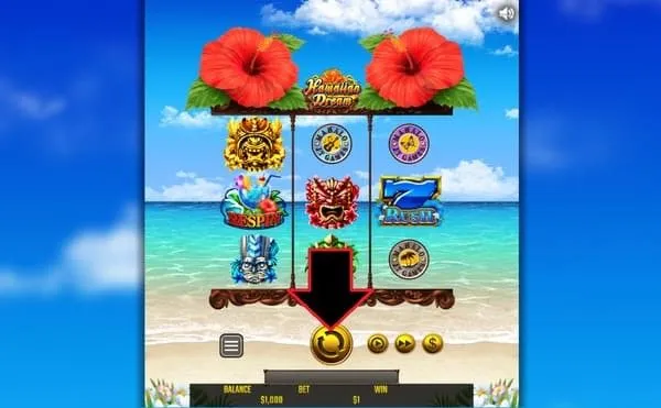 ハワイアンドリームのスピンボタン