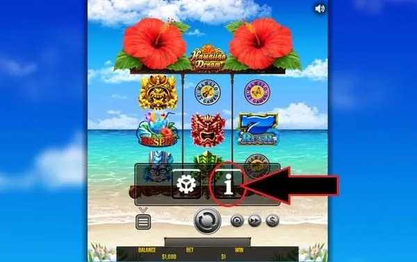ハワイアンドリームの「i」ボタン位置