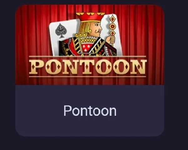 ポンツーン ゲーム画面