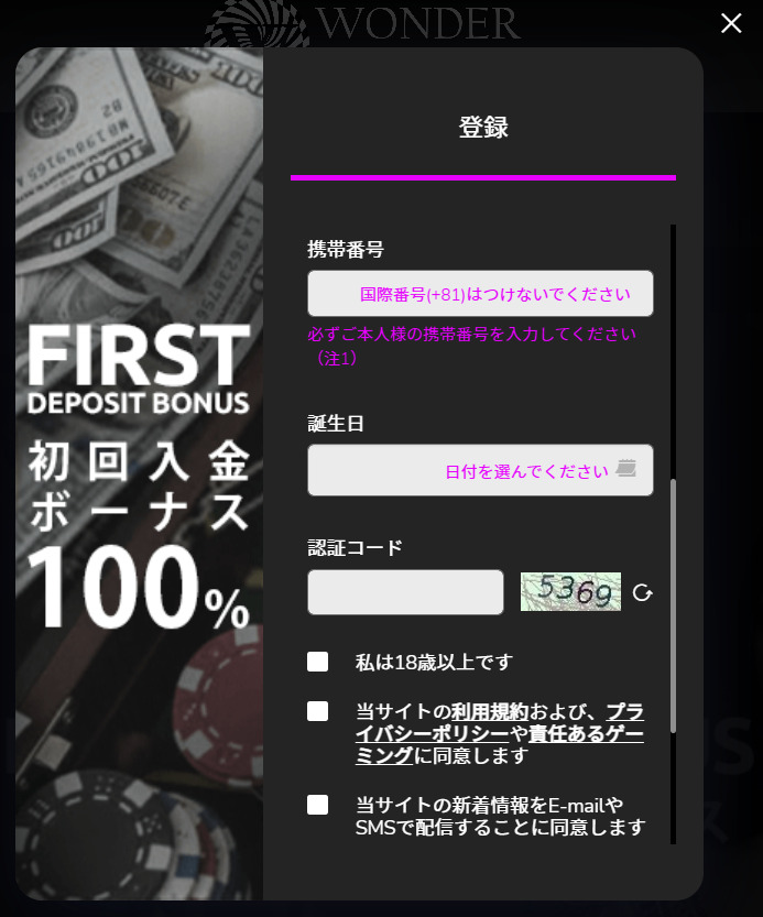 ワンダーカジノ 登録フォーム下